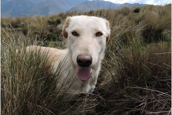 m__Andy Ekwadorskie 2